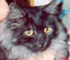 Photo of Jessie Justin Joy